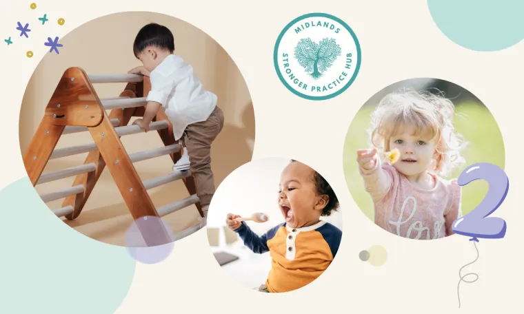 Cover image for the HEART Midlands SPH webinar recording of the 'Exploring the world of 2 year olds' event