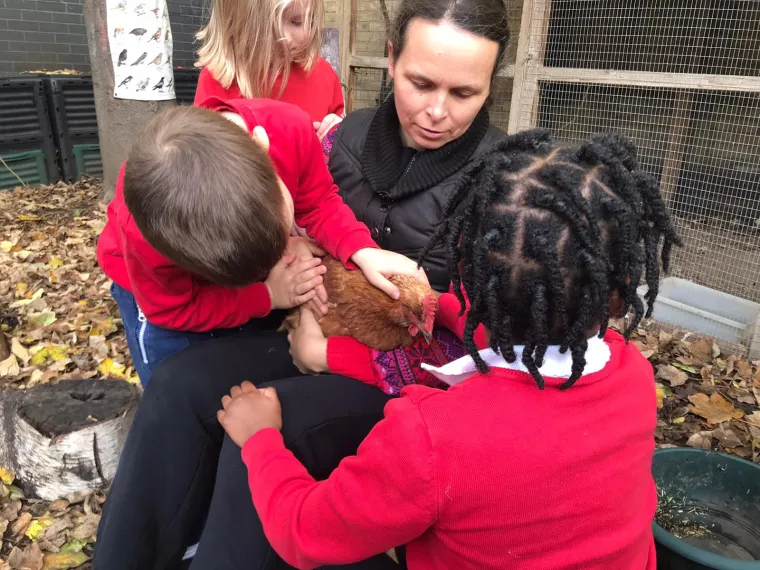 Handling chicken