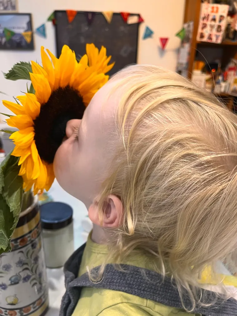 sensory experiences