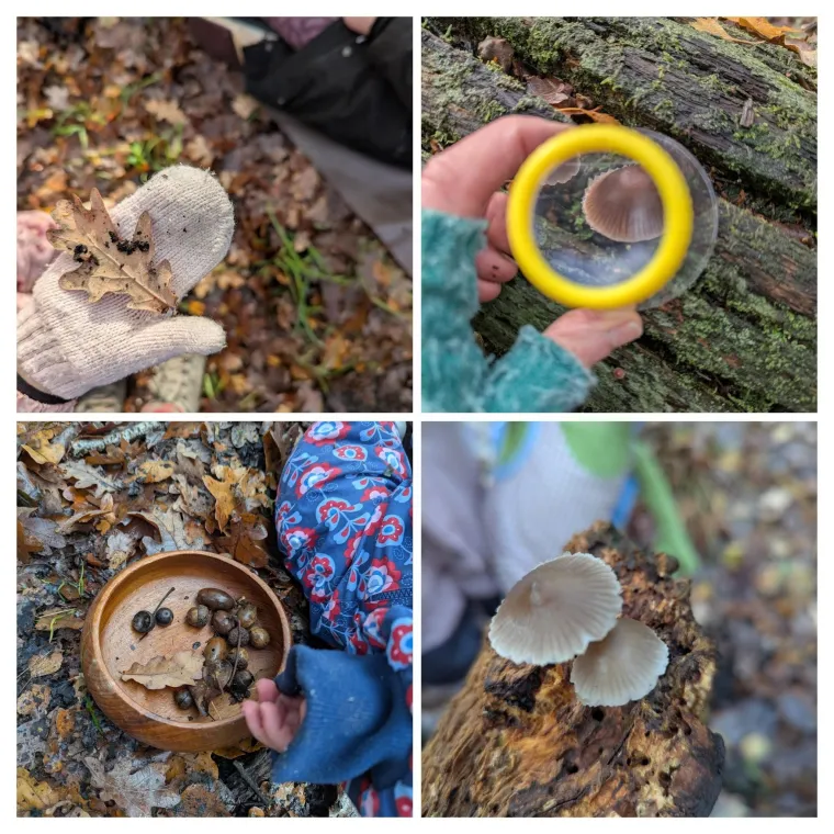 Nature