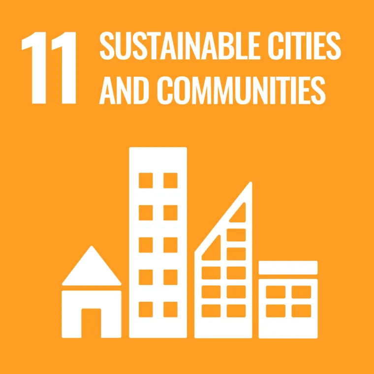 sdg 11