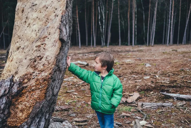 Outdoor play