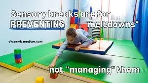 Image with quote: Sensory breaks are for preventing meltdowns not managing them 