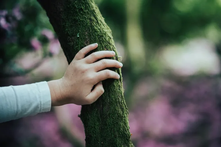 Outdoor play