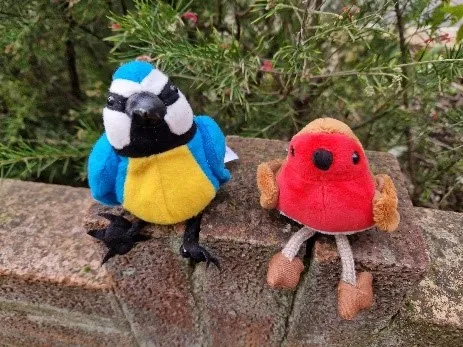 birds