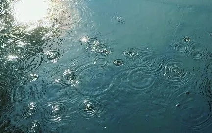 rain