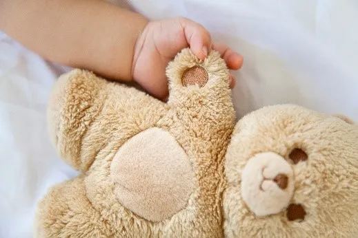 teddy 