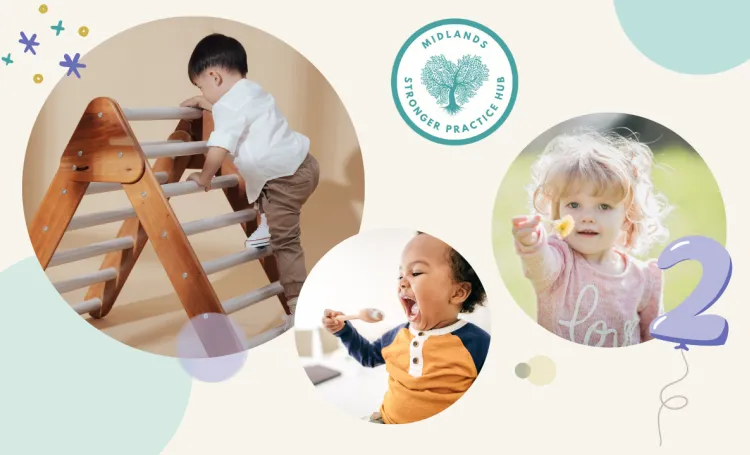 Cover image for the HEART Midlands SPH webinar recording of the 'Exploring the world of 2 year olds' event