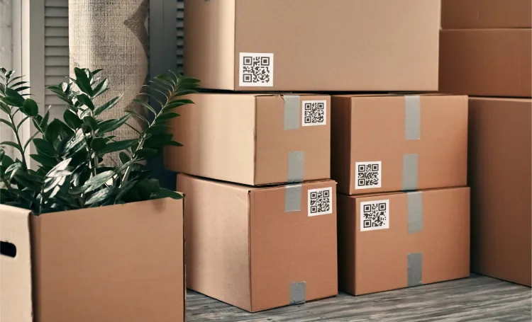 Boxes