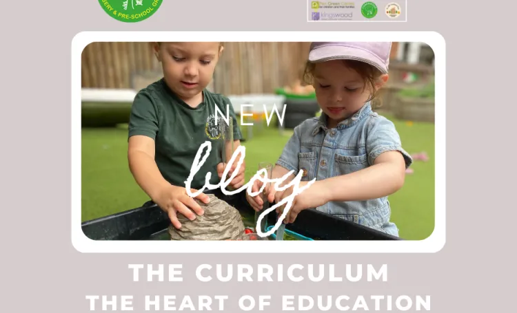 curriculum blog