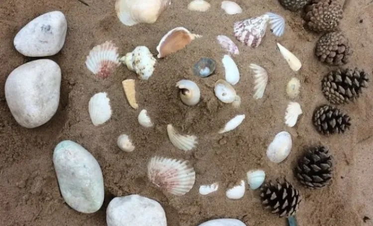 Stones and pine cones in a spiral pattern on sand. 