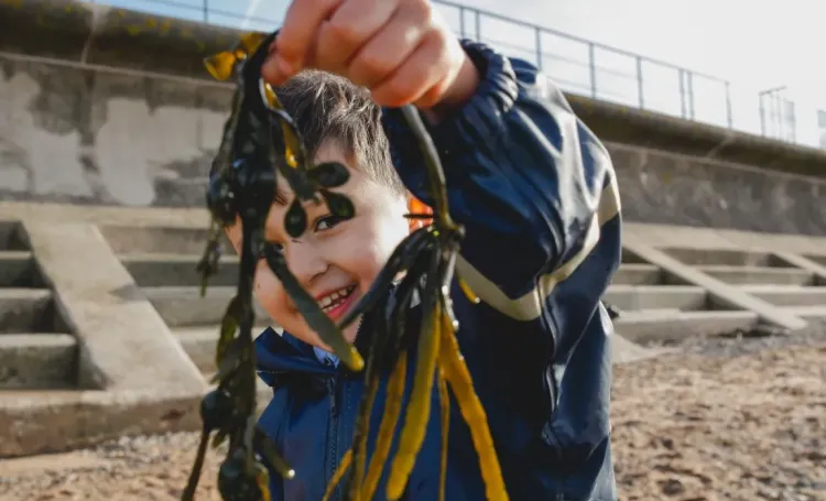 A boy at the beach holding seaweed
