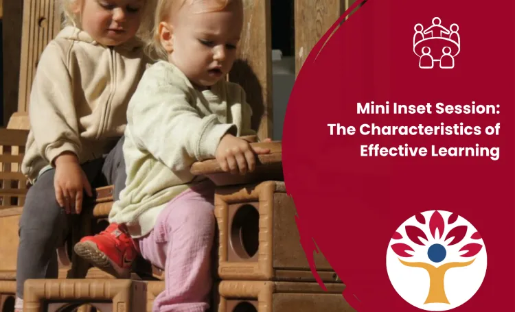 Mini Inset