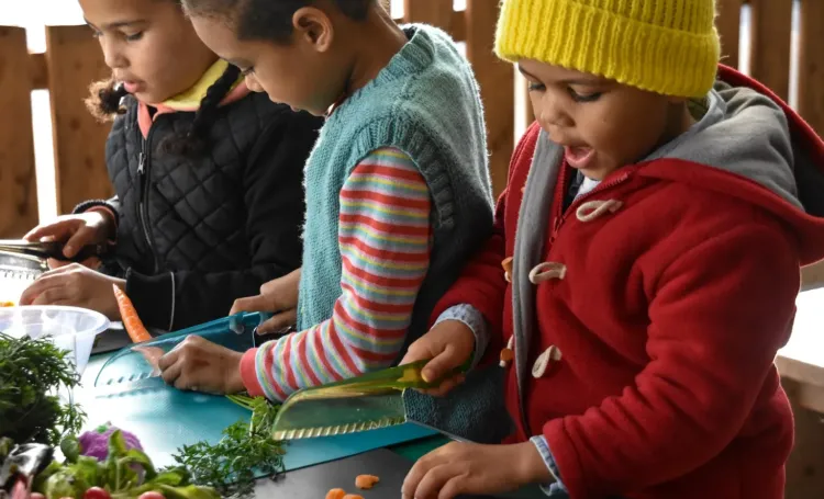 Exploring and Growing Fresh Produce in a Childminding Setting (for Childminders)