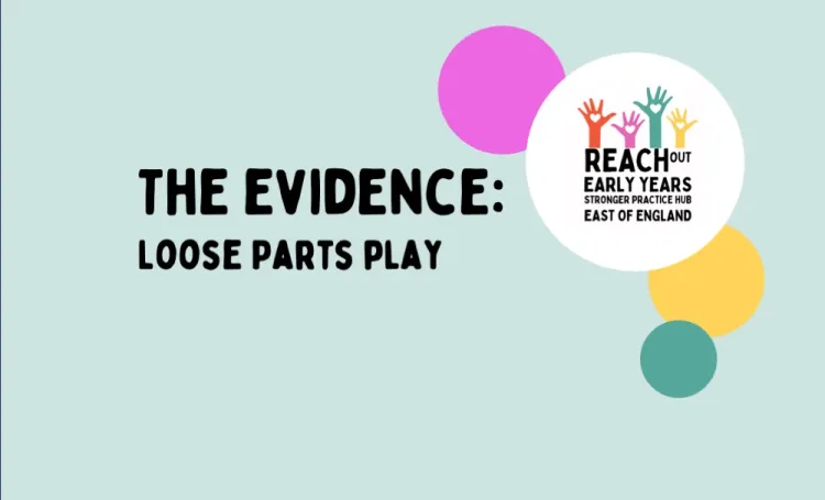 Evidence Loose Parts