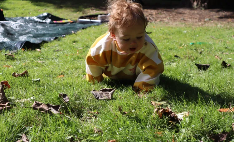 Baby playing in the grass.
