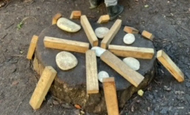 Stones and pieces of wood placed on a tree stump to form a circular pattern 