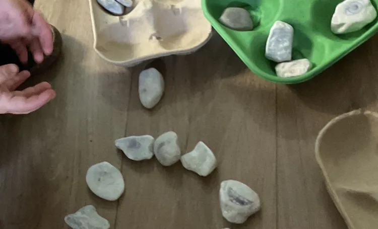 Stones placed in cardboard trays to use for counting and patterns 