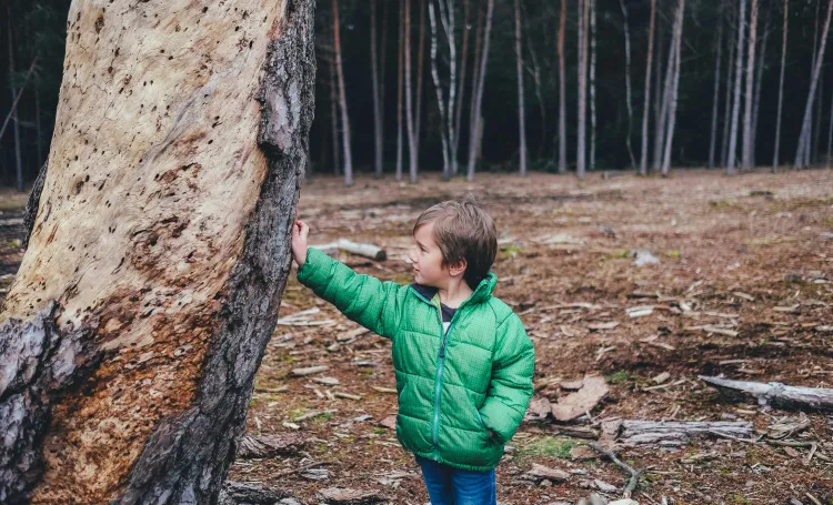 Outdoor play