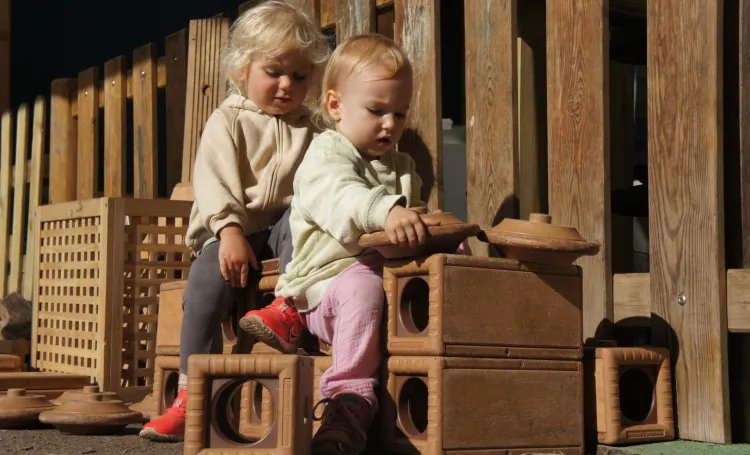 Physical Development