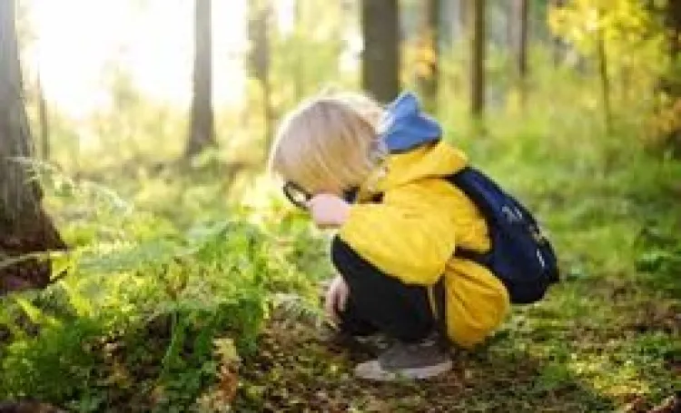 Forest School
