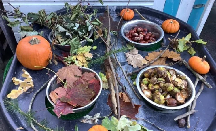 Tuff tray containing pumpkins, twigs, leaves and pine cones. 