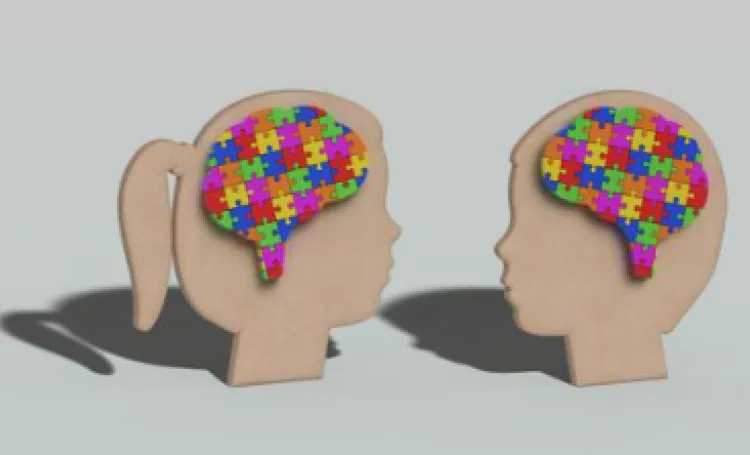 Brain