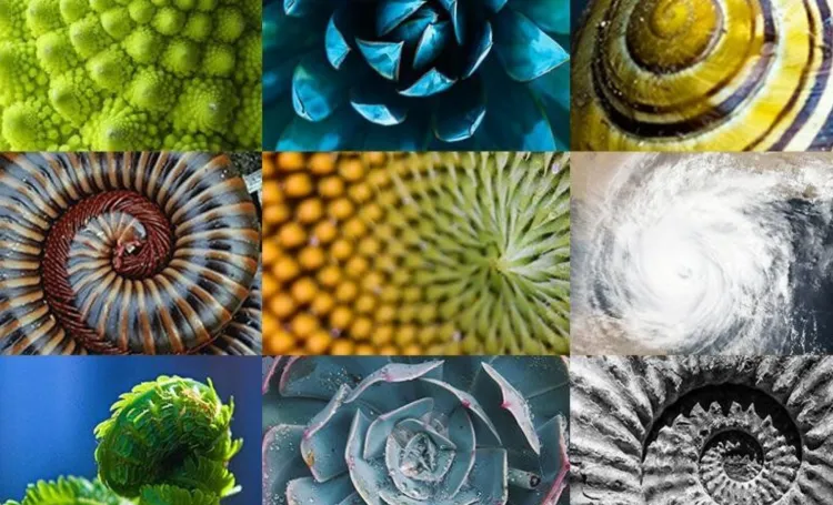 Pattern Power: Why Maths is More Than Just Counting