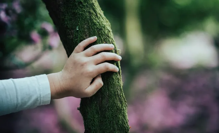 Outdoor play