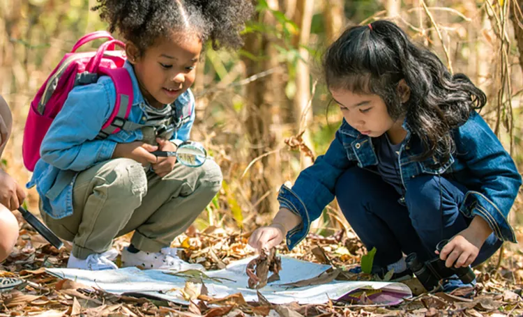 outdoor curriculum