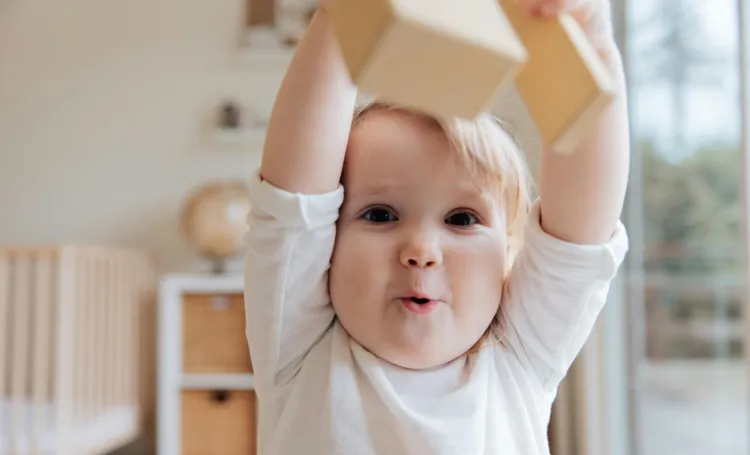 self regulation and executive function
