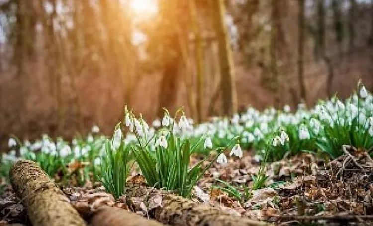 March