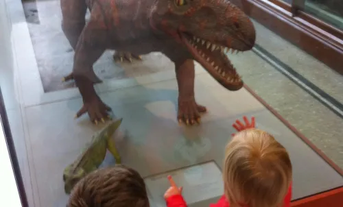 Museum image