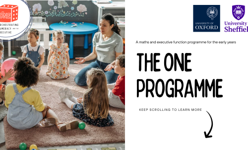 The ONE programme flyer